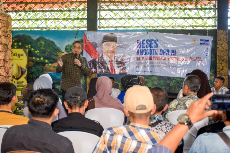 dede sapa