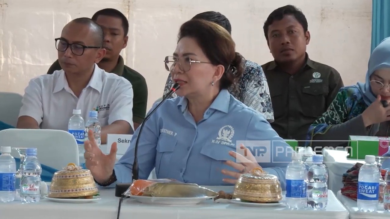 WhatsApp Image 2026-04-28 at 11-55-01