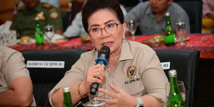 ibu ibu ellen